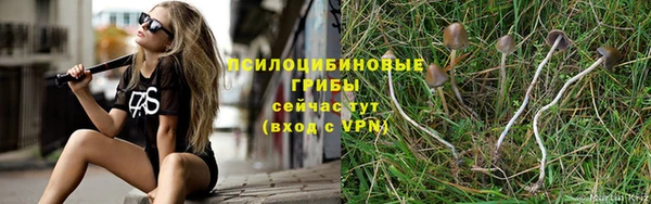 mix Арсеньев